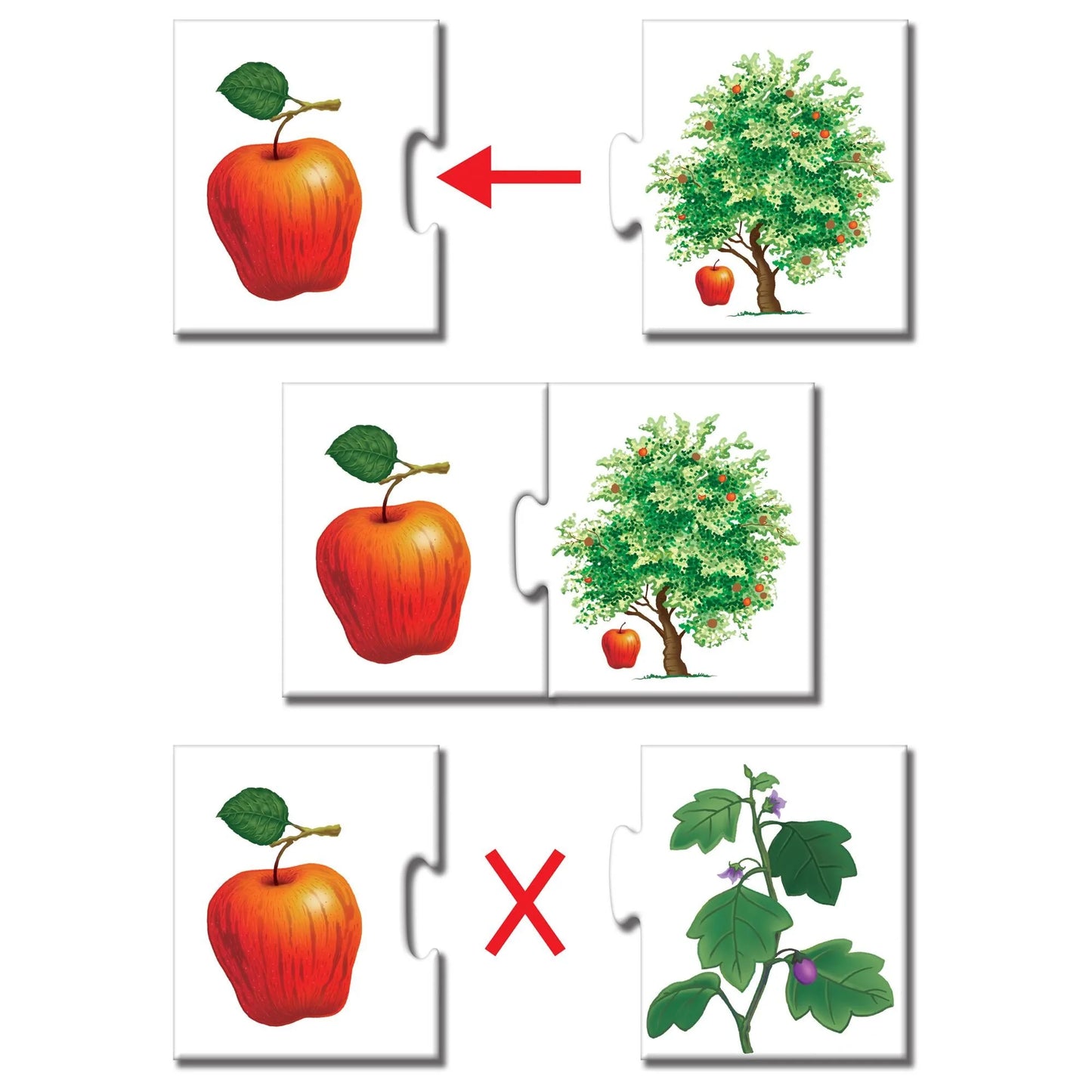Frank Fruit & Vegetables Self Correction Puzzles