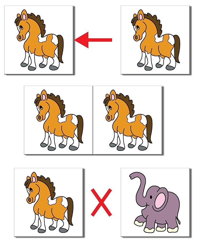 Frank Pairs A Memory Game