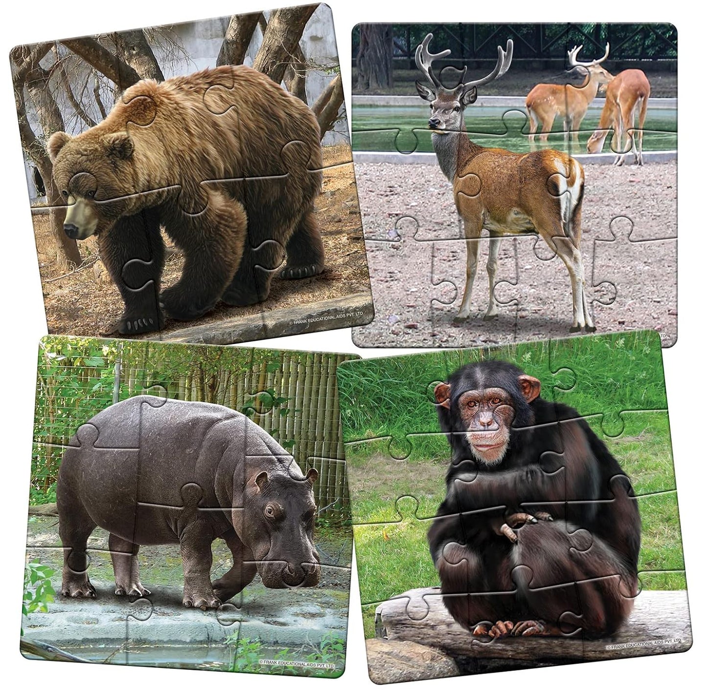 Frank in The Zoo Animal Puzzle - A Set of 4 Jigsaw Puzzle