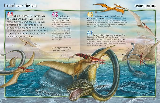 Miles Kelly Wild About Dinosaurs