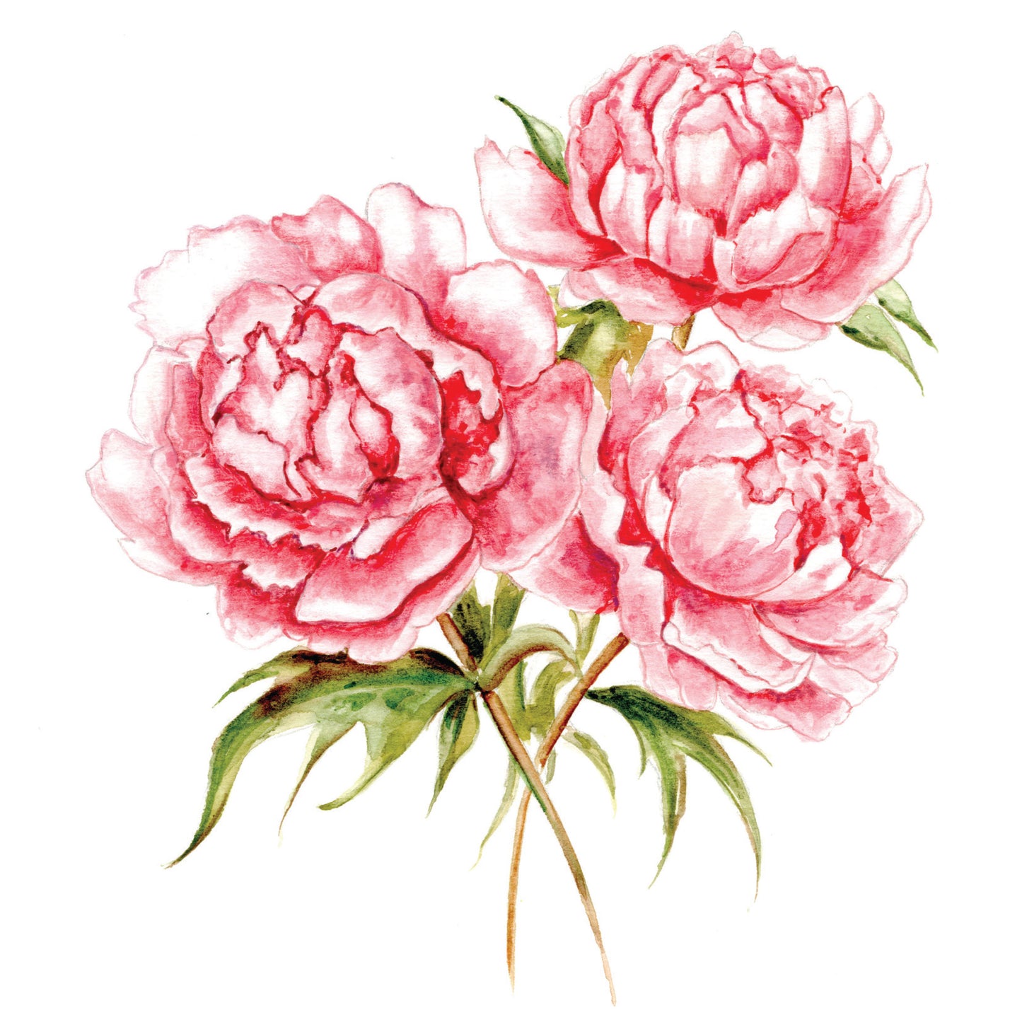 Art Maker Watercolour Painting - Hinkler