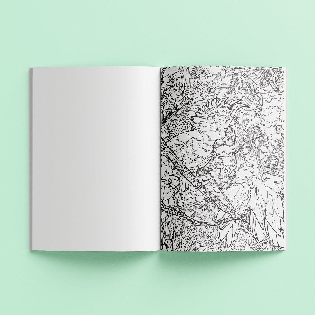 Amazing Animals Ultimate Colouring Kit - Hinkler