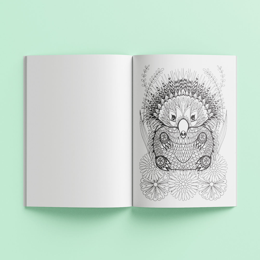 Amazing Animals Ultimate Colouring Kit - Hinkler