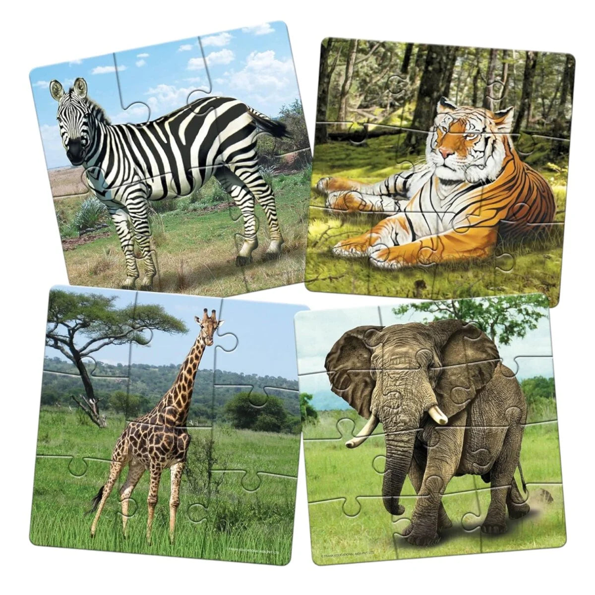 Frank In The Jungle - Set Of 4 Puzzles