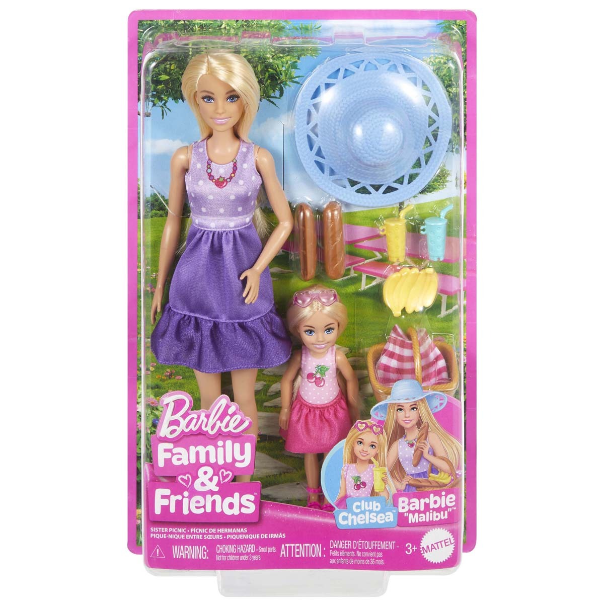 Barbie Family & Friends Sister Picnic