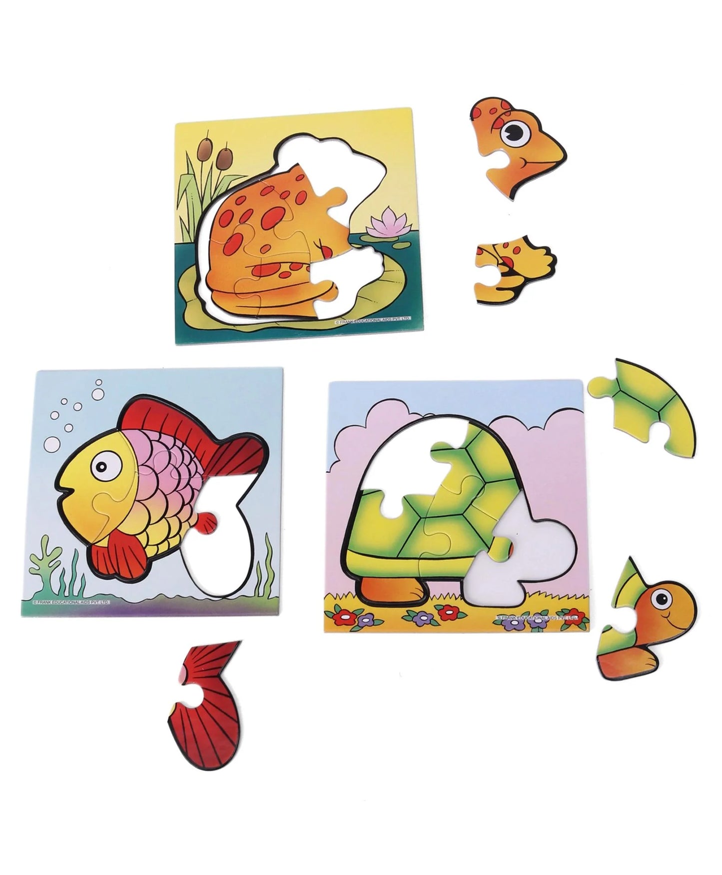 Frank in Water Jigsaw Puzzle for Kids Above 3+ Years