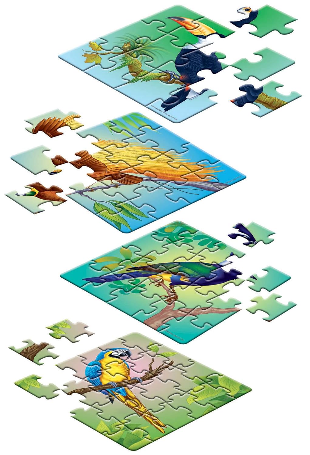 Frank Exotic Birds Animal Kingdom - A Set of 4 Jigsaw Puzzle for Kids Above 4+ Years