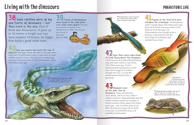 Miles Kelly Wild About Dinosaurs