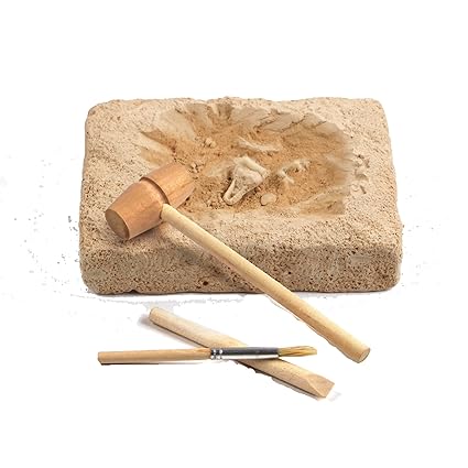 Wonders Of Leaning Discover Dinosaurs Educational Box Set