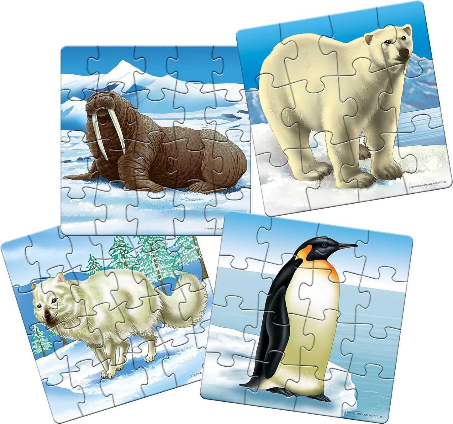 Frank Polar Animals - A Set of 4 Jigsaw Puzzle for Kids Above 4+ Years