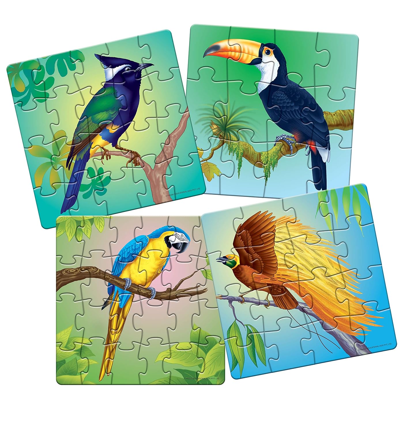 Frank Exotic Birds Animal Kingdom - A Set of 4 Jigsaw Puzzle for Kids Above 4+ Years