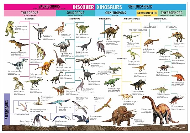 Wonders Of Leaning Discover Dinosaurs Educational Box Set