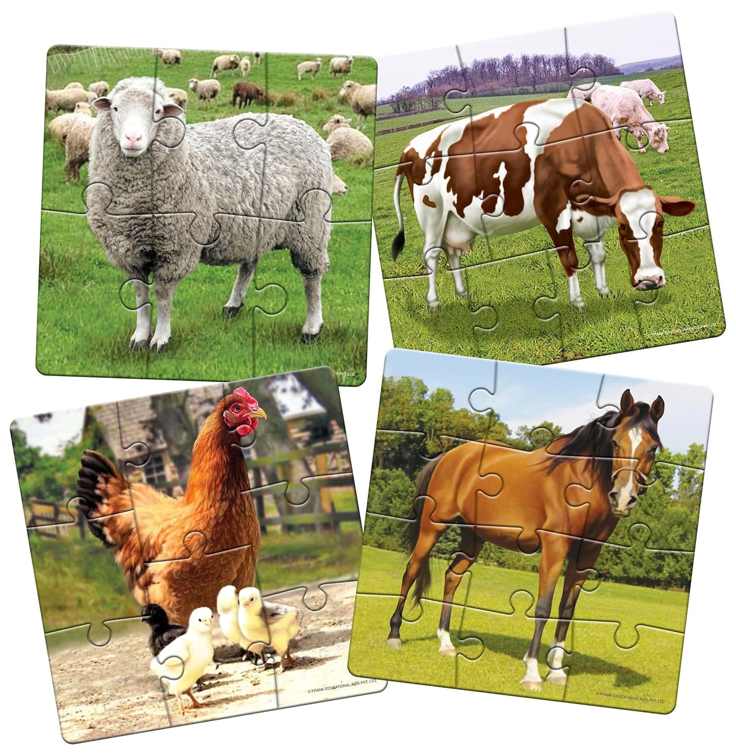 Frank at The Farm Animal Puzzle - A Set of 4 Jigsaw Puzzle