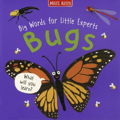 Miles Kelly Big Words For Little Experts -- Bugs