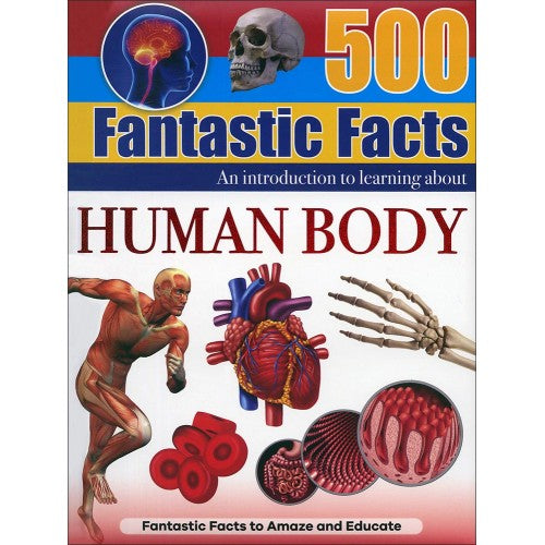 500 Fantastic Facts -- Human Body
